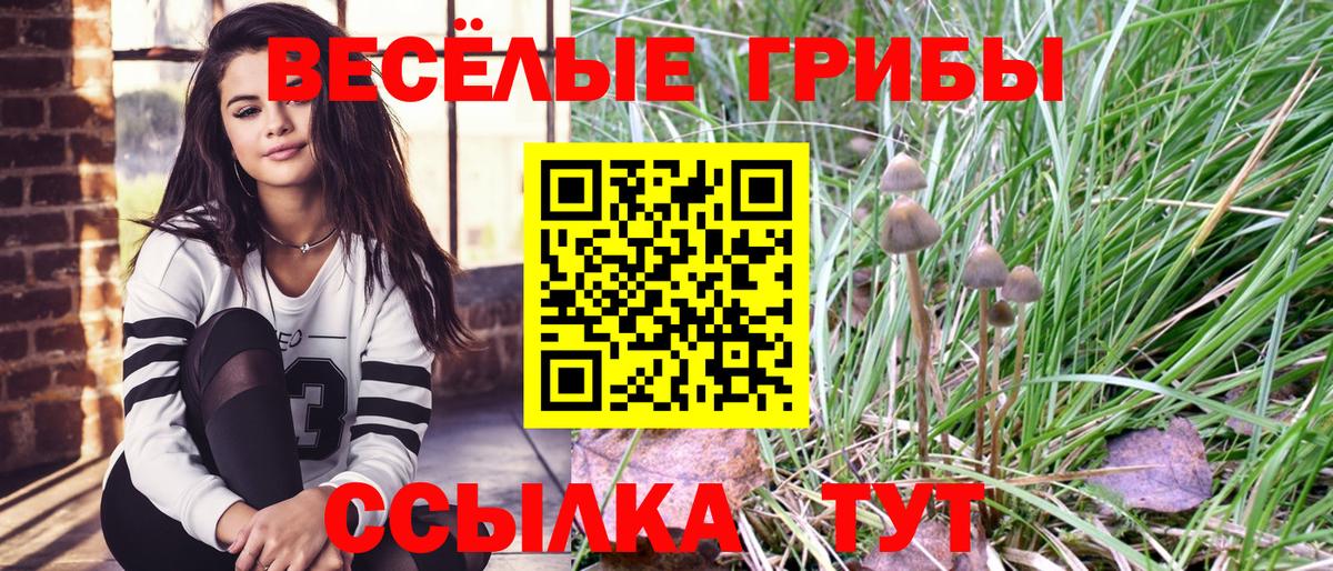 Псилоцибиновые грибы Psilocybine cubensis  Вход с VPN  Туймазы  Псилоцибиновые грибы прущие грибы 