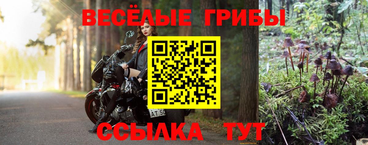 Псилоцибиновые грибы Psilocybine cubensis Туймазы